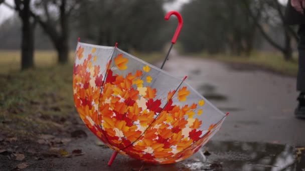 Yağmur Birikintisinin Oradaki Park Alanında Arka Planda Gezinen Bulanık Zarif — Stok video