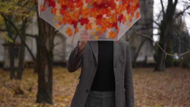 遅い動きに落ちる葉で傘を上げる幸せな男 秋の公園で楽しい時間を過ごしている白人の楽しい男の肖像 — ストック動画