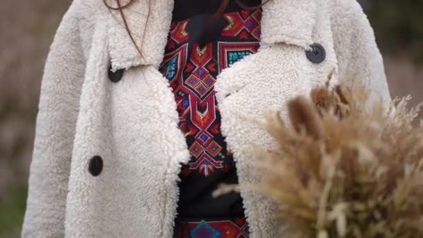 身穿绣花民族服装 头戴麦捆的乌克兰妇女站在室外 难以辨认 在阴沉沉的日子里 站在秋天的田野里自信而放松的女士 慢动作 — 图库视频影像