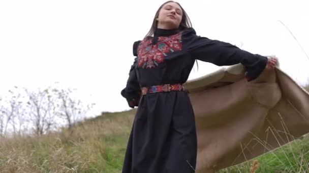 美丽而自信的年轻女子在秋天的草地上慢动作旋转着 身着民族服装 头戴乌克兰刺绣的美丽的黑发女士在户外田野里享受宁静的画像 — 图库视频影像