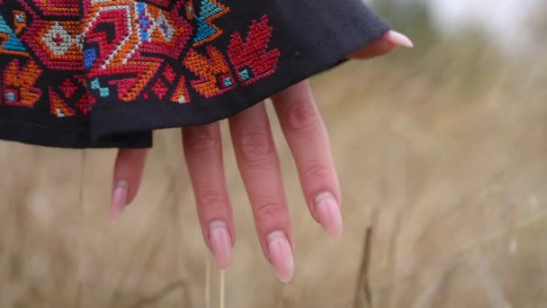 Detailní Záběr Štíhlé Ženské Ruky Vyšívaných Šatech Dotýkající Žlutých Stonků — Stock video