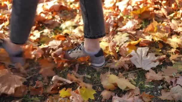 Nahaufnahme Schlanke Weibliche Füße Die Auf Einer Wiese Mit Abgefallenen — Stockvideo