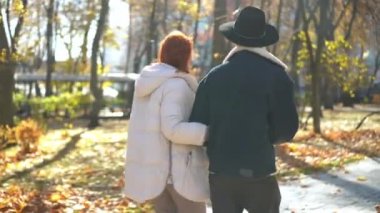 Mutlu bir adamla kadının sonbahar parkında el ele dolaşırken görüntüsü. Kendinden emin, olgun bir anne ve yetişkin bir oğlanın dışarıda yürürken gülümseyerek sohbet edişinin görüntüsü.