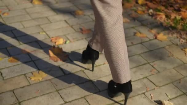 Piernas Mujer Tacones Altos Elegantes Pantalones Caminando Por Callejón Del — Vídeo de stock
