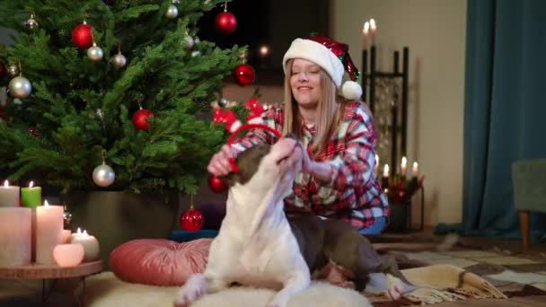 Femeie Veselă Atractivă Care Își Pune Cerc Păr Capul Câinelui — Videoclip de stoc