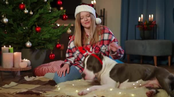 Weitschossene Glückliche Frau Mit Zahmem Lächeln Streichelt Hund Gespräch Mit — Stockvideo
