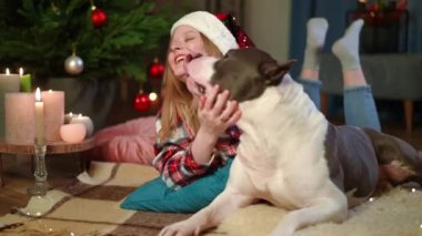 Rahatlamış mutlu kadın ve köpek Noel arifesinde oturma odasında halı ve yastıkların üzerinde yatıyorlar. Beyaz bir kadın, safkan bir hayvanı okşuyor. Gülümsüyor. Yılbaşı gecesinin tadını çıkarıyor.