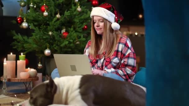Tânără Concentrată Mesagerie Line Laptop Câine Relaxat Neclar Situat Camera — Videoclip de stoc