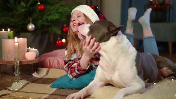 Relaxed Happy Woman Dog Lying Carpet Cushions Living Room Christmas — Stock Video