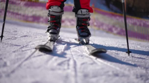 Vista Frontal Pies Femeninos Montar Esquís Ladera Soleada Nevada Estación — Vídeo de stock