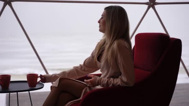 Vista Lateral Hermosa Mujer Confiada Sentada Cómodo Sillón Terraza Cristal — Vídeos de Stock