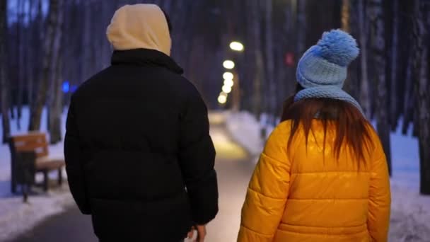 バックビューの自信を持った若いカップルの夜の公園の路地に話して歩く アジア人男性と白人女性の散歩のトラッキングショット日付冬の夜に屋外で — ストック動画