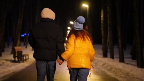 Tracking Shot Joyful Young Couple Holding Hands Running Frosty Winter — Stock Video