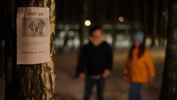 Zaginione Ogłoszenie Psa Drzewie Niewyraźnym Młodym Mężczyzną Kobietą Spacerujących Wokół — Wideo stockowe