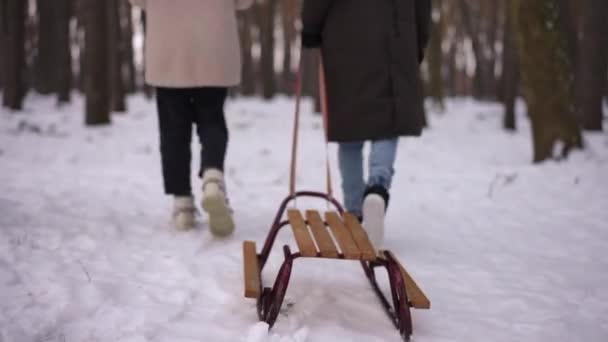 Vista Posterior Trineo Madera Sobre Nieve Blanca Con Pareja Adolescente — Vídeo de stock