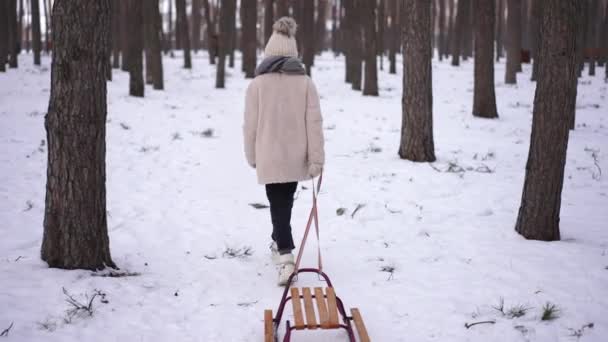 Retrovisore Tracking Shot Adolescente Ragazza Che Cammina Sulla Neve Tirando — Video Stock