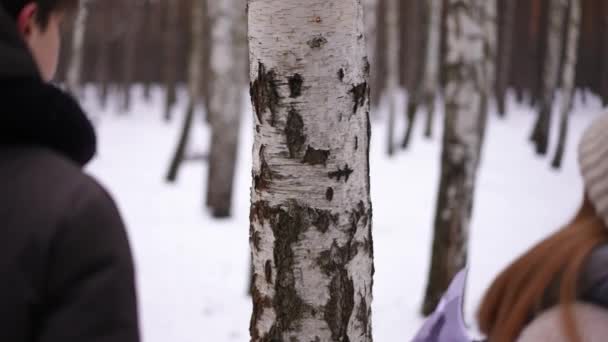 Берч Дерево Зимовому Парку Парою Підлітків Входить Оголошення Про Вішаючого — стокове відео