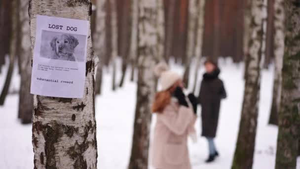 Vermisstes Haustier Plakat Baum Mit Verschwommenem Teenie Mädchen Und Junge — Stockvideo