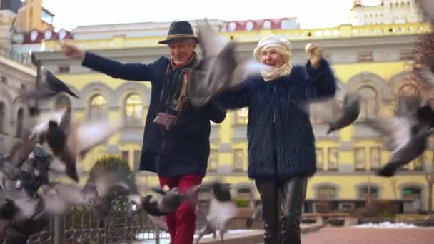 一对快乐的老夫妇在城市街道上奔跑 鸟儿慢吞吞地飞来飞去 快乐而兴奋的白人男人和女人在户外玩的很开心 开心地放声大笑 — 图库视频影像