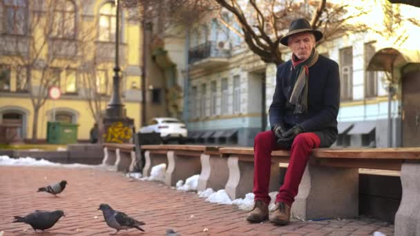Wide Shot Portrait Frustrated Lonely Senior Caucasian Man Sitting Bench — Stock video