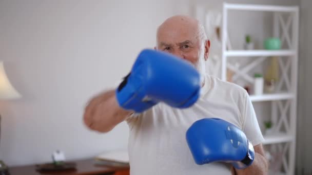 Positive Bearded Senior Boxer Looking Camera Fighting Shadow Slow Motion — Vídeos de Stock