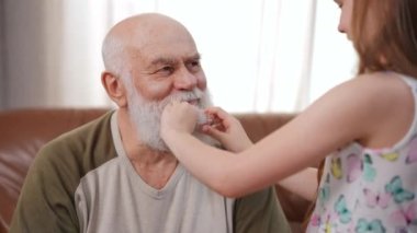 Bearded old man laughing talking with girl adjusting hair curler in long white beard. Positive relaxed Caucasian grandfather enjoying weekend leisure with granddaughter at home indoors