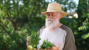 Bearded positive gardener smelling fresh greenery standing in summer spring garden outdoors. Senior Caucasian farmer with harvest on sunny day outdoors. Agriculture and lifestyle