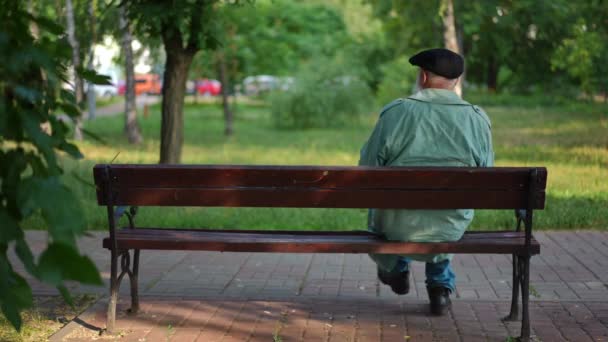 Back View Wide Shot Relaxed Old Man Sitting Right Bench — Vídeo de Stock