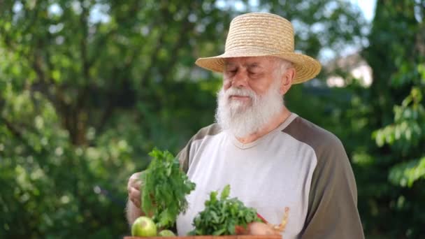 Бородатый Позитивный Садовник Чувствует Запах Свежей Зелени Стоящей Летнем Весеннем — стоковое видео