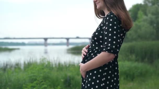 Seitenansicht Unkenntlich Glückliche Frau Streichelt Schwangerschaftsbauch Lächelnd Auf Der Rechten — Stockvideo