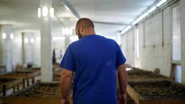 Arrière Vue Confiant Homme Caucasien Marchant Sur Les Escargots Ferme — Video