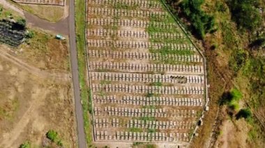 Top pedestal shot of snail farm on sunny day outdoors. Wide aerial view of wooden decks for breeding with live camera moving up