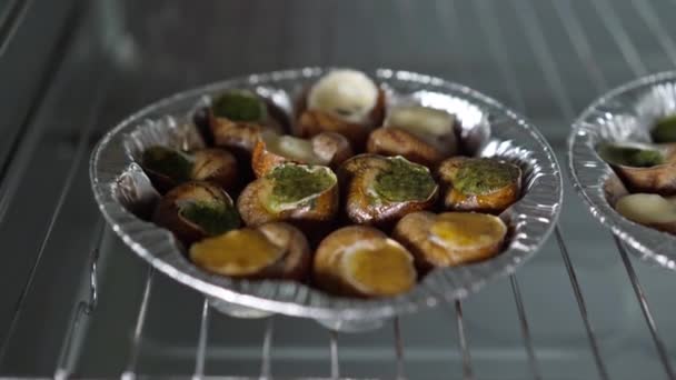 Spiced Escargot Plates Grid Close Live Camera Moving One Dish — Video Stock