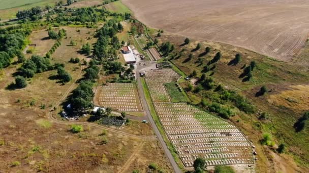Wide Aerial Shot Landscape Trees Fields Snail Farm Drone Spinning — Wideo stockowe