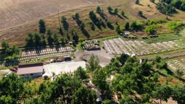 Wide shot snail farm on sunny day outdoors with live camera spinning around. Aerial view of wooden decks in rows with edible delicatessen breeding in sunshine