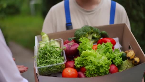 Homem Entrega Caucasiano Irreconhecível Caixa Passagem Com Vegetais Orgânicos Frutas — Vídeo de Stock
