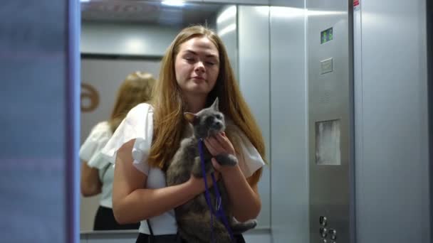 Portrét Ženy Kočkou Výtahu Zavřenými Dveřmi Usmívající Pozitivní Běloška Domácím — Stock video