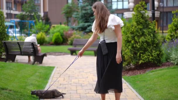 Ung Kvinna Håller Krage Katt Luktar Grönt Gräs Utomhus Gräsmattan — Stockvideo
