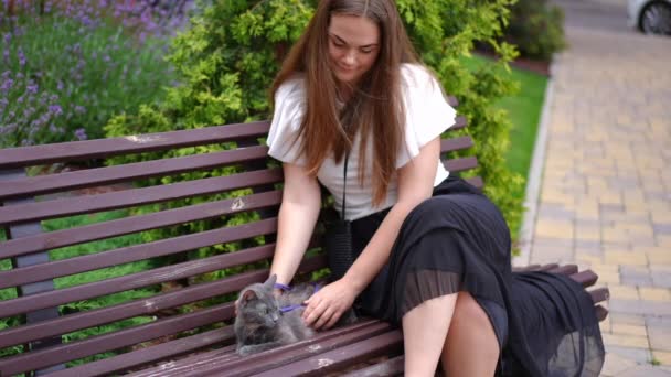 Hermosa Mujer Joven Sonriendo Sentada Con Gato Banco Callejón Mirando — Vídeos de Stock