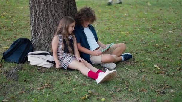 无忧无虑的白人男孩和女孩 带着数码平板电脑 坐在公园里的树上谈笑风生 高视角宽镜头轻松的朋友分享流言在线滚动社交媒体室外 — 图库视频影像