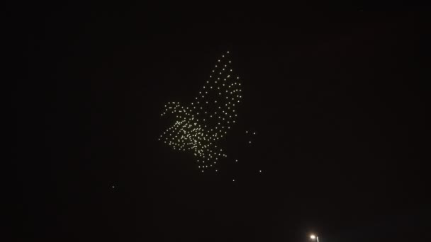 Lumières Drone Formant Forme Oiseau Sur Ciel Nocturne Extérieur Performance — Video