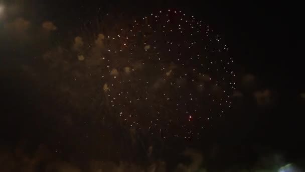 Asap Langit Malam Dengan Kembang Api Bersinar Dalam Kegelapan Holiday — Stok Video