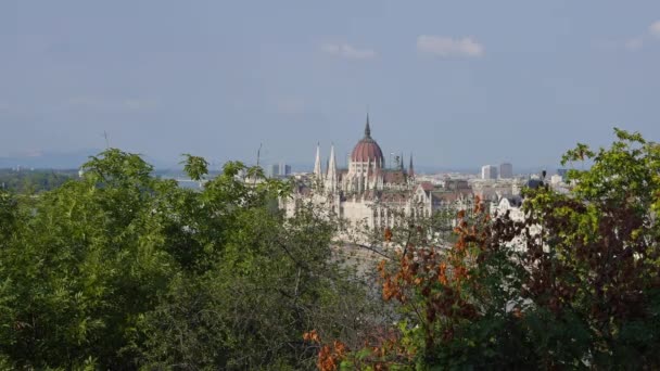 Budapest Hungría Mayo 2022 Árboles Verdes Primavera Aire Libre Con — Vídeos de Stock
