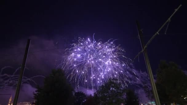 Strommasten Mit Elektrischen Kabeln Freien Hintergrund Von Feuerwerkskörpern Nachtshow Urbaner — Stockvideo