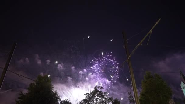 Onderaanzicht Nachtelijke Hemel Met Vuurwerk Sprankelend Duisternis Met Rook Brede — Stockvideo