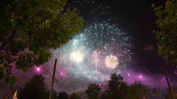 Wide Shot Sparkling Fireworks Show Dark Night Sky Outdoors Trees — Stock Video