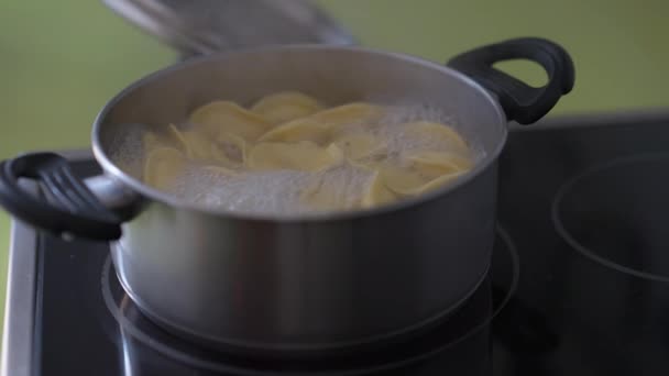 キッチンストーブの上で餃子とクローズアップ沸騰水室内 男性白人手取る調理器具離れる — ストック動画