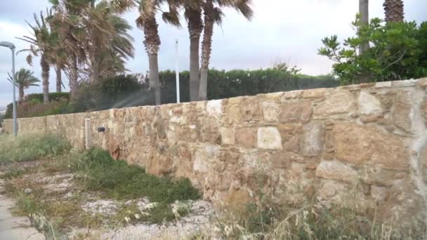 Cerca Piedra Chipre Con Palmeras Creciendo Día Ventoso Aspersores Salpicando — Vídeo de stock
