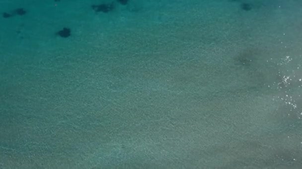 太陽の下で屋外の海のトップビューエメラルドグリーンの澄んだ水 日差しの中で穏やかな透明な湾の波の高角度の空中ビュー キプロスにパラダイスリゾート地中海 — ストック動画