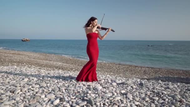 青い海の波と鳥が背景を通り過ぎる太陽の下でバイオリンをプレイするワイドショット吸収女性 自信は地中海の海岸で屋外で音楽を演奏する白人ミュージシャンにインスピレーションを与えました — ストック動画